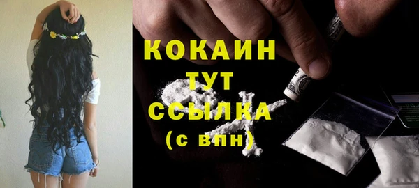 прущие крисы Аркадак