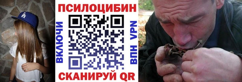 Псилоцибиновые грибы Psilocybe  продажа наркотиков  Луза 